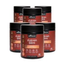 Load image into Gallery viewer, 6 Bottles of VulcanSlim (Discounted)
